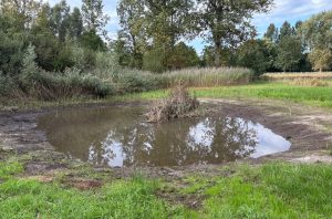 IMG_8528